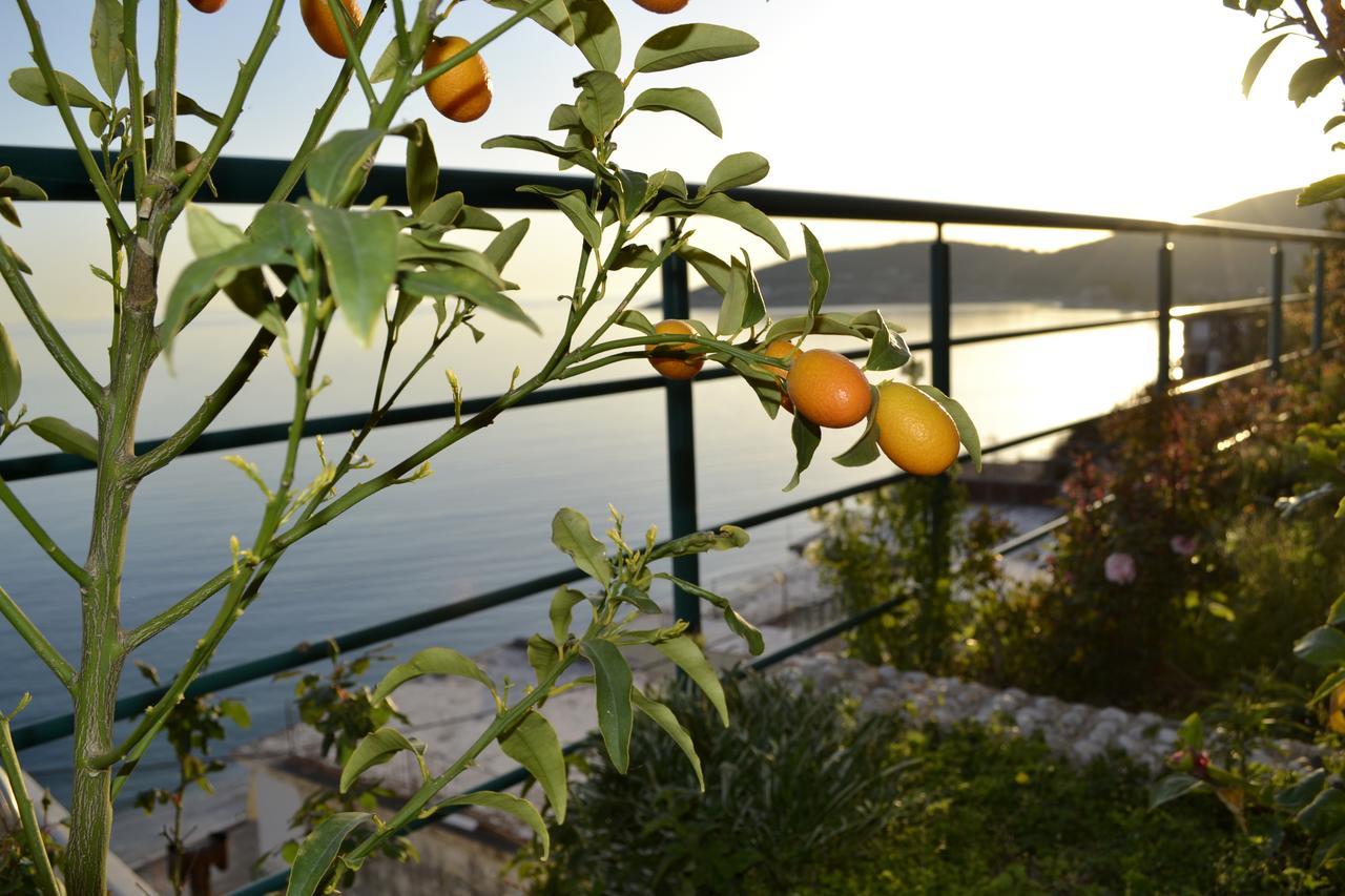 Villa Panorma Qeparo Bagian luar foto